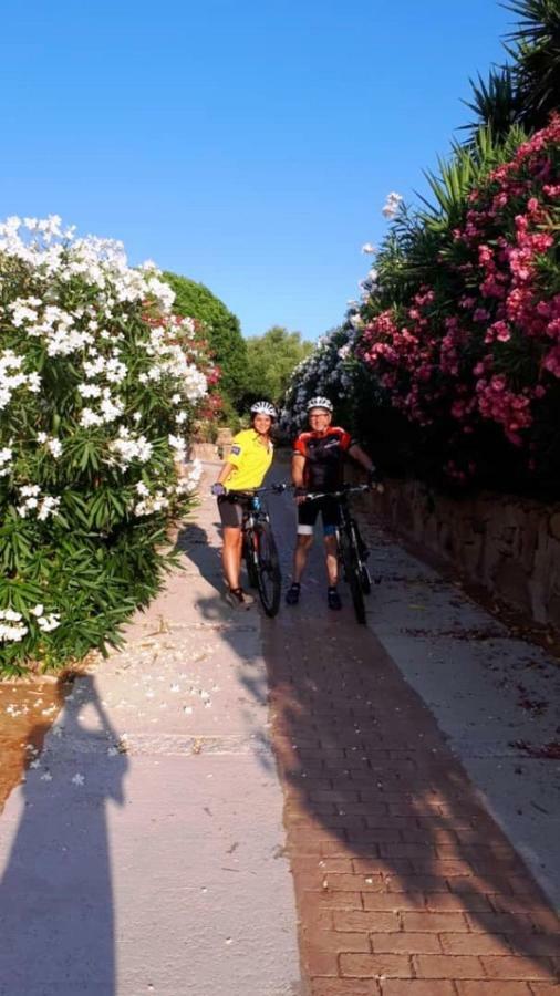 Saba * Olbia